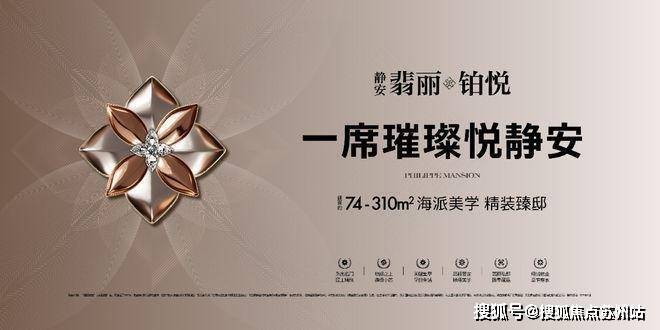 5静安翡丽铂悦)首页网站-楼盘详情-户型配套pg模拟器电脑版静安翡丽铂悦售楼处(202(图6)
