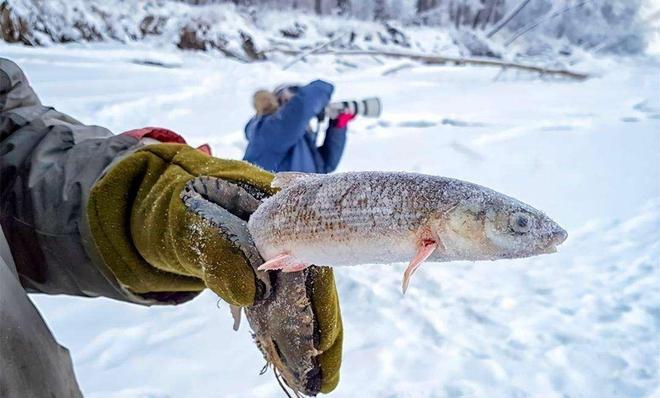 900人苹果30块1个1斤牛肉10多元电子pg西伯利亚-63℃小卖部:全村约(图9) 900人苹果30块1个1斤牛肉10多元电子pg西伯利亚-63℃小卖部:全村约(图9)